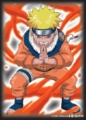 Naruto Uzumaki Sleeves
